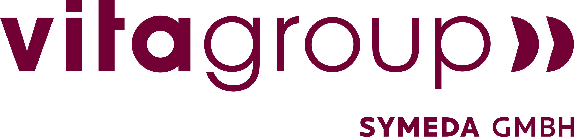 vitagrpup logo